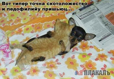 СОБАКИ и ЩЕНКИ. Все про собак!