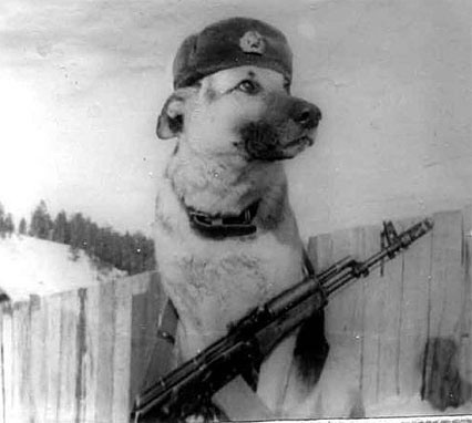 Советские пограничники