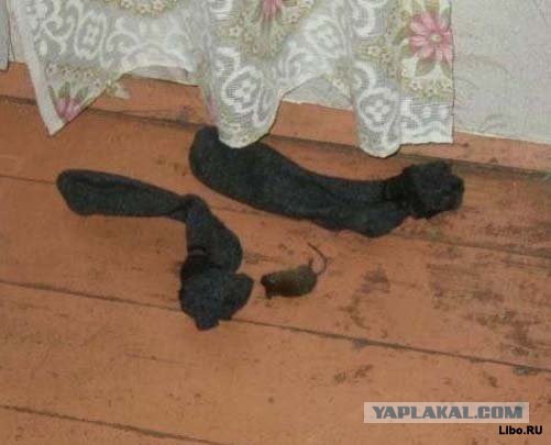 Опасная болезнь замужних женщин