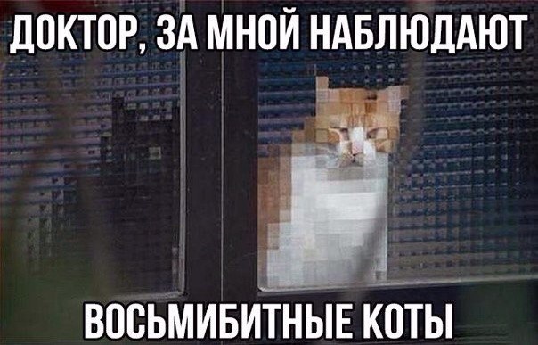 Ужасы и приколы из соцсетей 18+