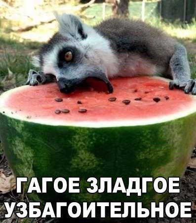 Картинки всякие