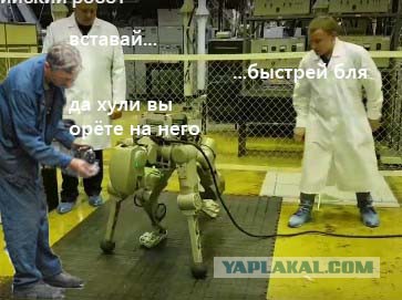 Новый российский человекообразный робот