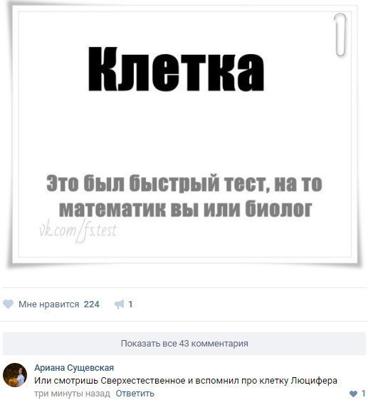 Ужасы и приколы из соцсетей 18+