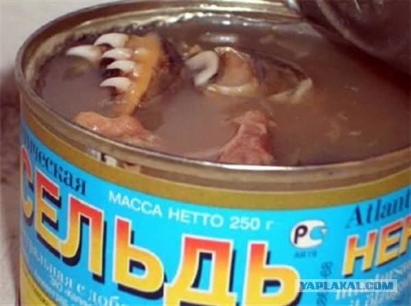 Интересные факты о селедке