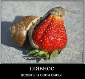 Возможно ли жить без кредитов?