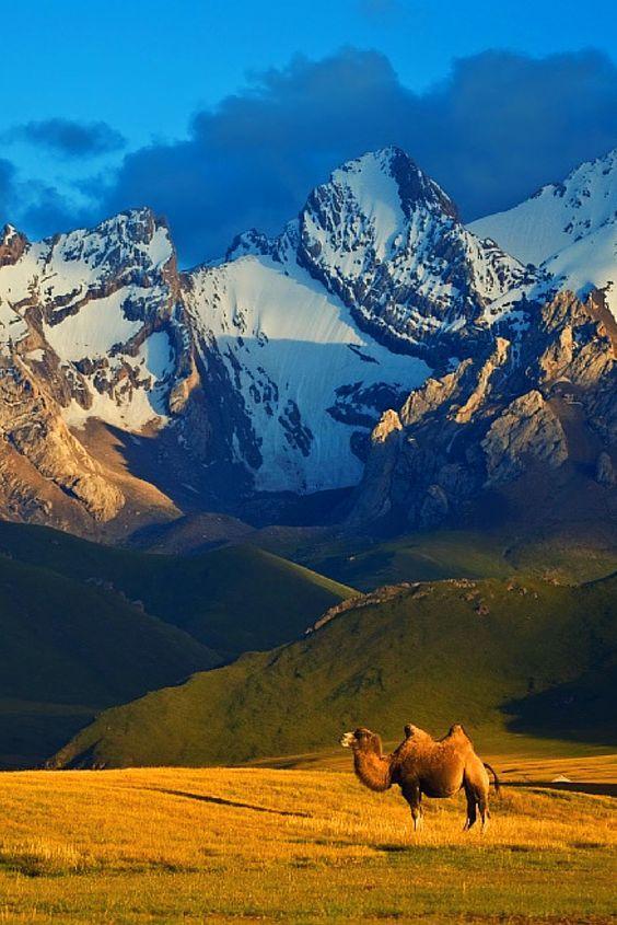 Моменты, запечатлённые на фото и просто позитив 5