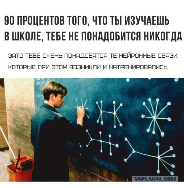 Илон Маск против традиционного образования