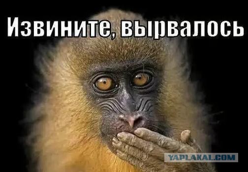 «Stern»: У Германии больше золотых запасов, чем у России. Но они в США...