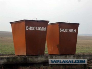 В городе Кирово-Чепецк местные школотроны забрызгали мужчину с тростью перцовым баллончиком, а затем избили