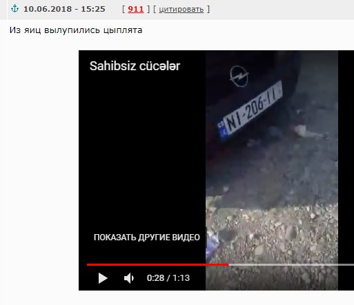 В Грузинском городе Марнеули на свалку выбросили множество яиц, посчитав их испорченными.