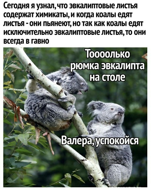 Умные мысли - 4