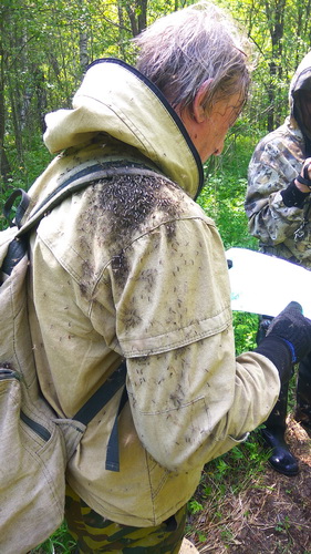 Командировка. В леса