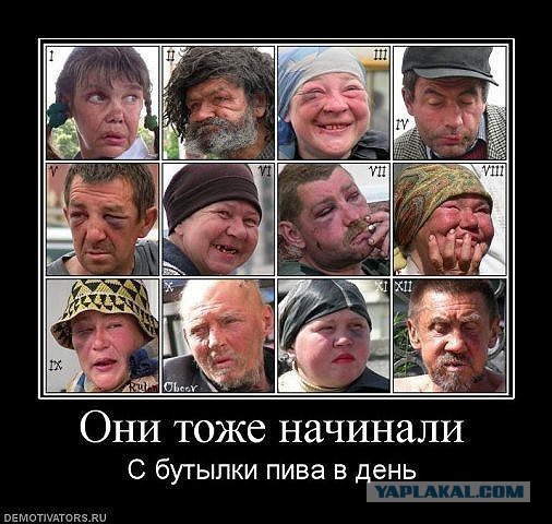 Минимальная цена на пиво может составить 80 рублей