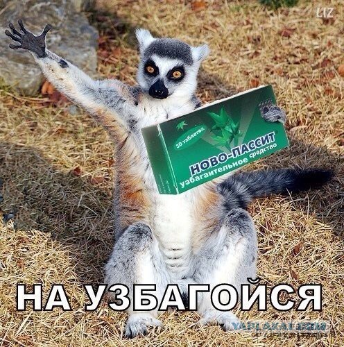 Как я стал невъездным в одну очень европейскую страну