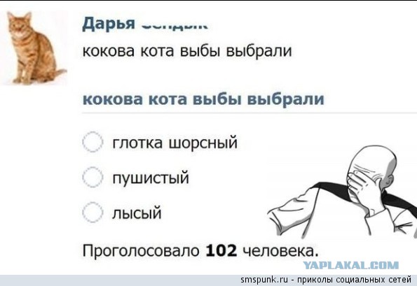 Котейка едет в с инспекторами в отдел ГИБДД