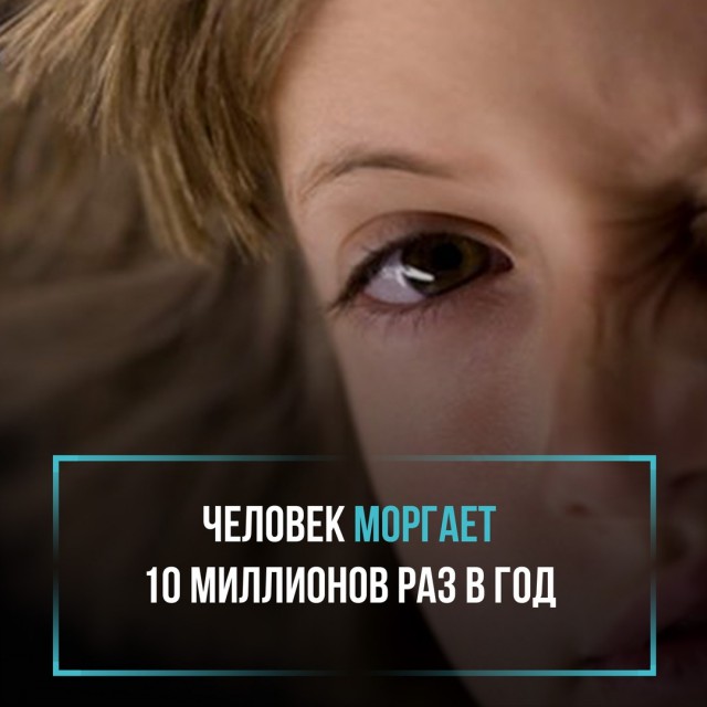 Спорные "интересности" в картинках