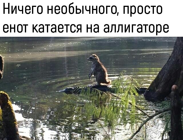 Немного картинок для настроения