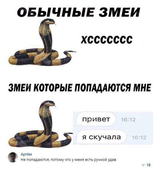 Подборка интересных и веселых картинок 05.03.19