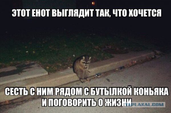 Чуток картинок  26.06.19