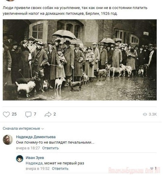 Комментарии к постам в разных группах, которые вызвали улыбку