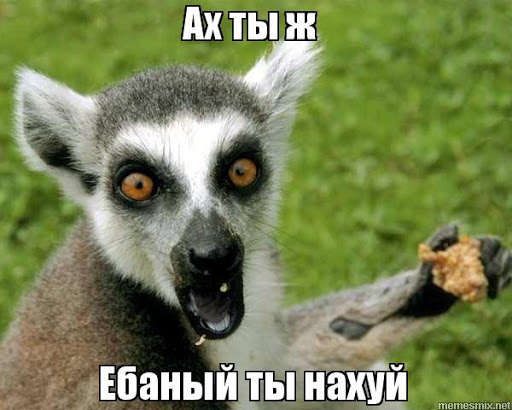 Это вам не инстаграм (апрель)