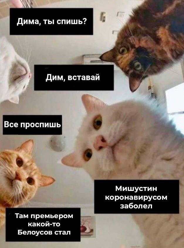 Мишустин заразился коронавирусом и временно сложил полномочия премьера