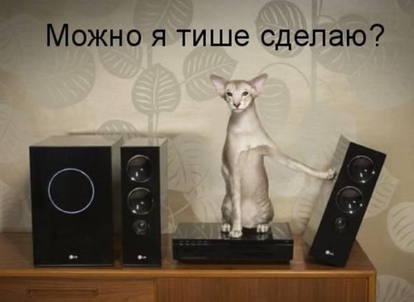 Немного картинок и демотиваторов с очень старого винта (часть 4)