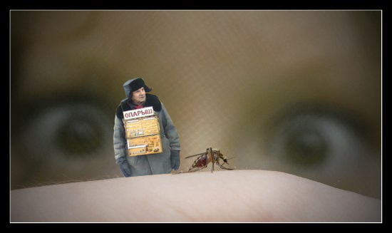 Фотожаба: Вот это, да !
