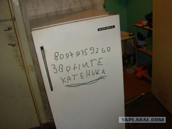 Холодильник в общаге