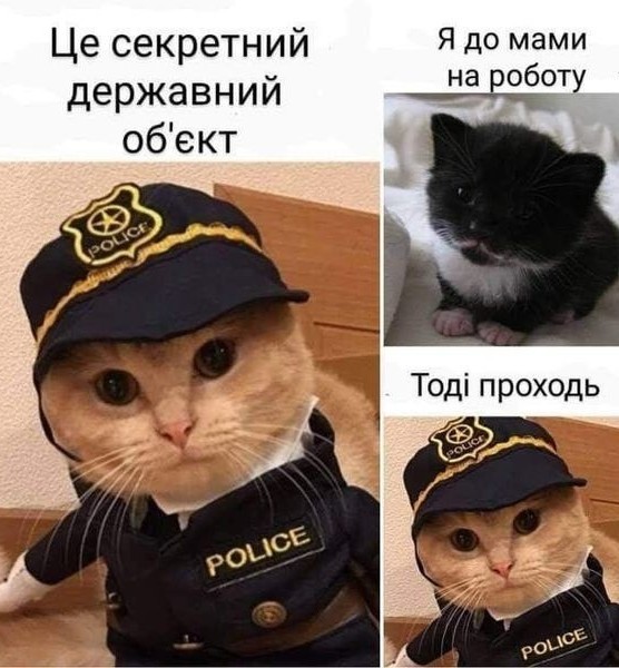 Всё не зря