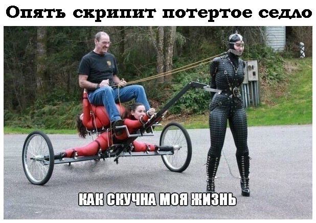 Прикольные картинки 02.12.20