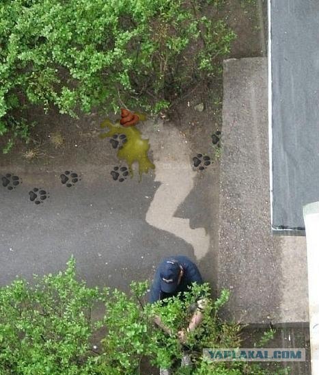 Что нам снег, что нам зной