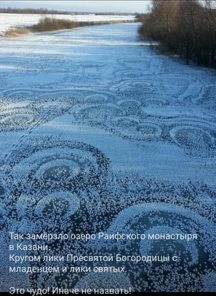 (C)нежное