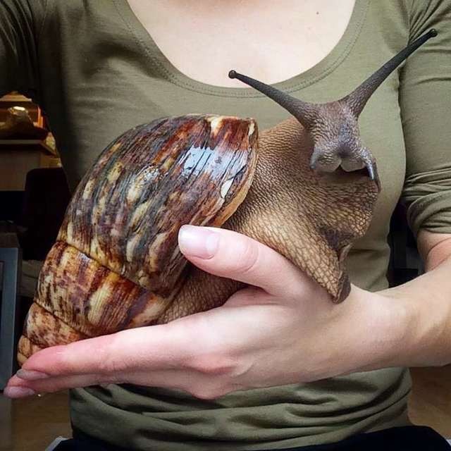 Вася ужинает