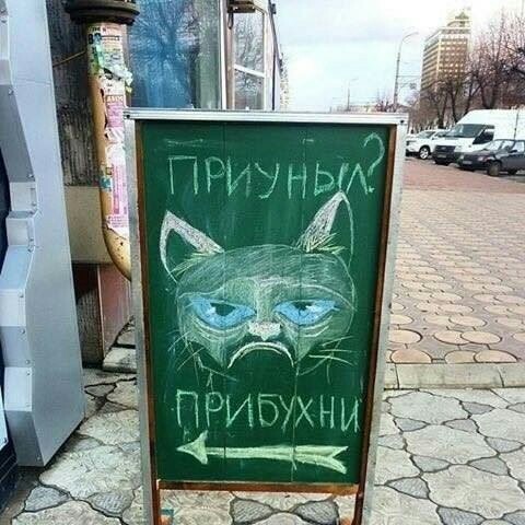 Алкопост  09.04.21