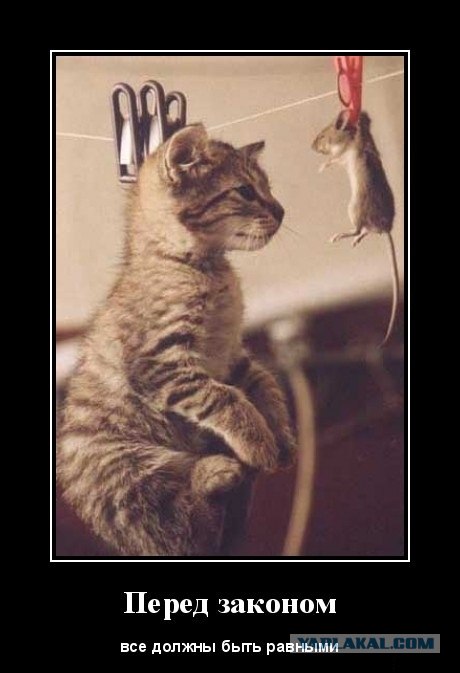 Садись, Маша. Спасибо, Вова!