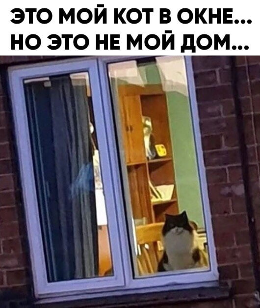 Картинки и мемы для настроения 27.04.2021