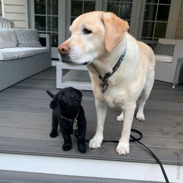 Картинки и мемы для настроения 05.08.2021