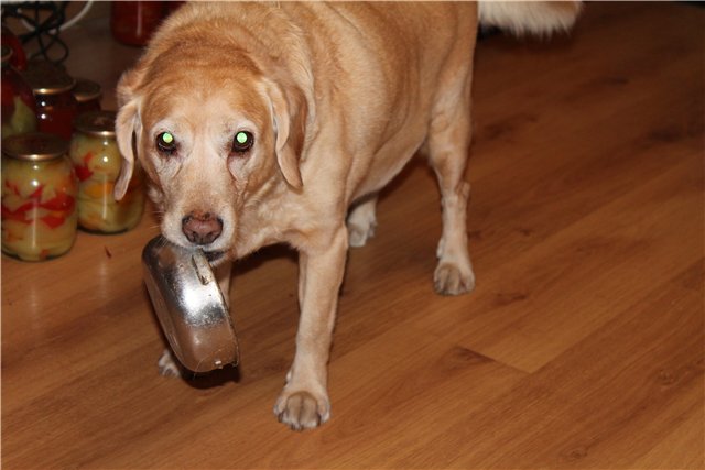 Пятничные посиделки на теплотрассе ©