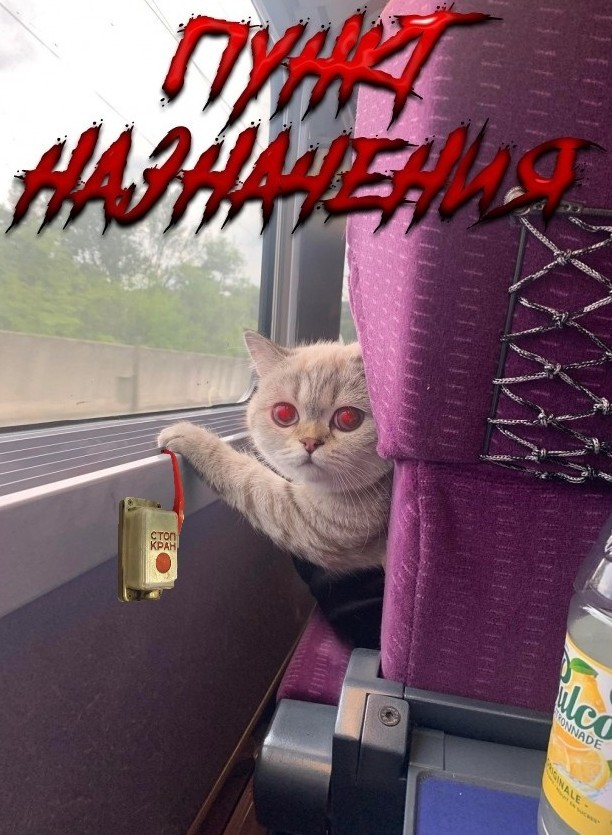 Попутчик