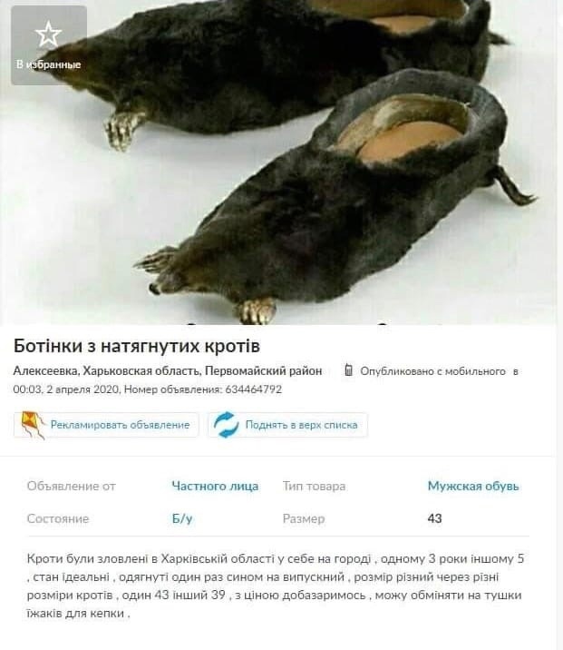 Всяческие картинки 08.11.2021