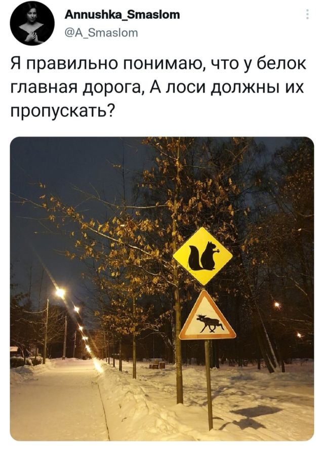 Человек собаке друг и другие картинки и мемы  под настроение