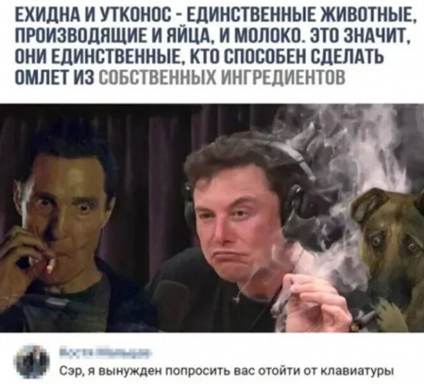 Картинки и мемы, всем отличных выходных