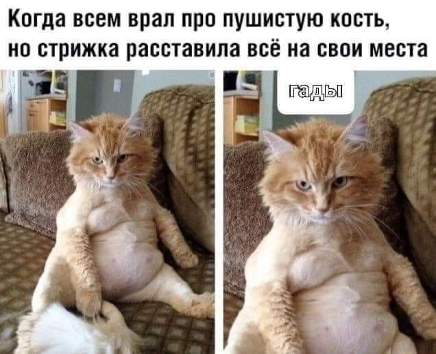 Понедельник. Вечер. Картинки для настроения #2