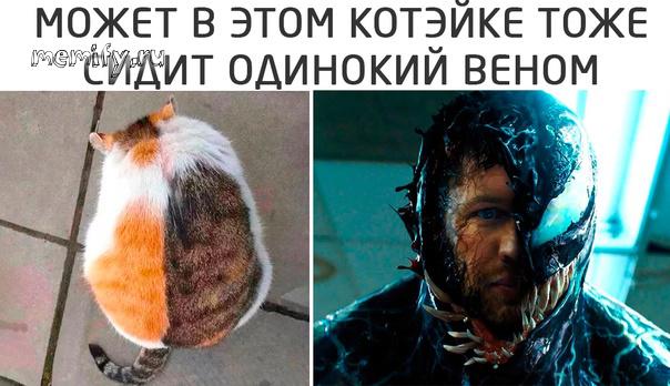Картинки и мемы, всем хороших выходных