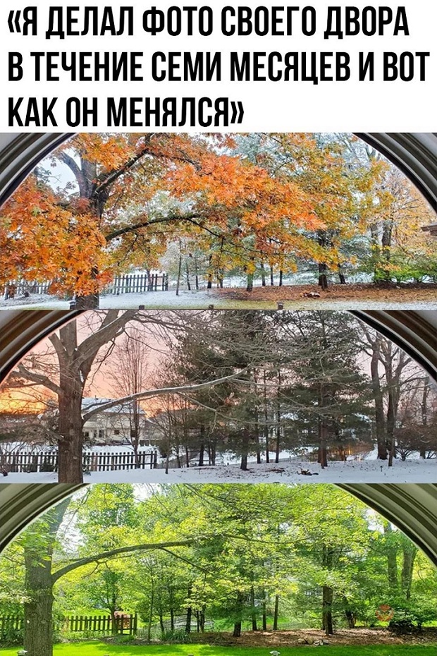 Картинки и мемы для настроения. Выходные близко...