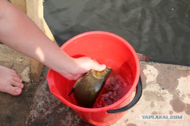 Приключение!