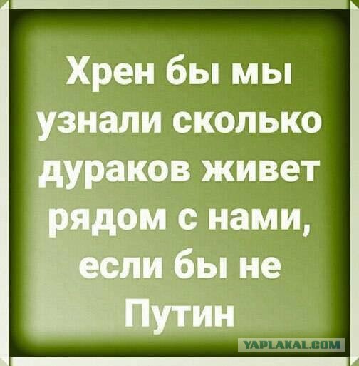 Весёлый полтишок 08.09.22