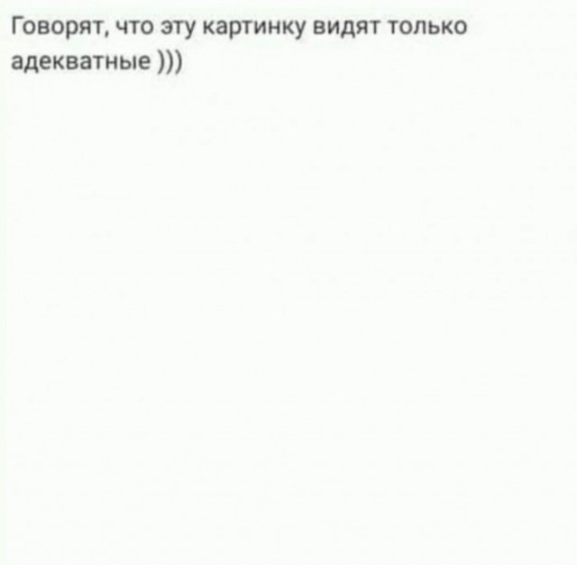 Весёлый полтишок 08.09.22
