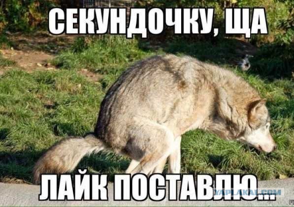 Британское пророчество.